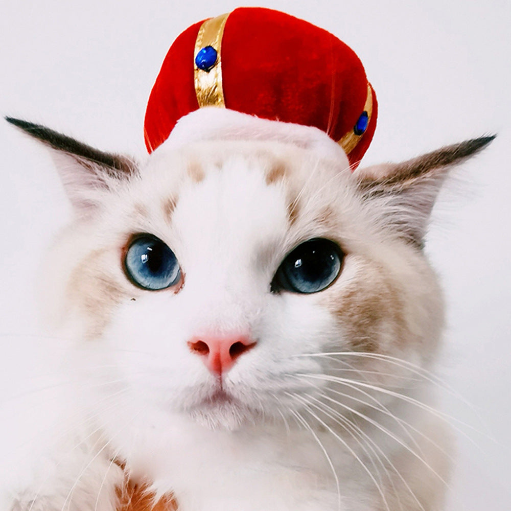 Cat wearing a red crown with blue stones on a white background