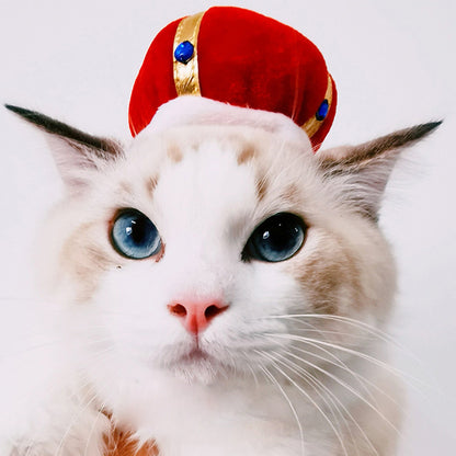 Cat wearing a red crown with blue stones on a white background