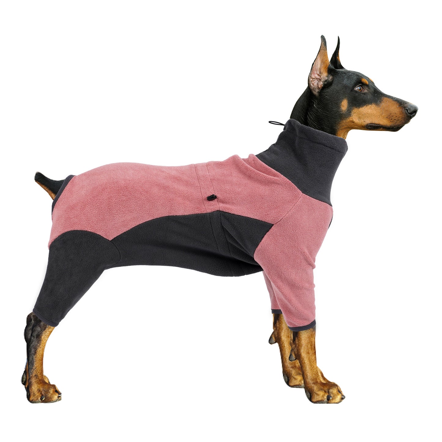 Dog wearing a pink and black fleece coat on a white background