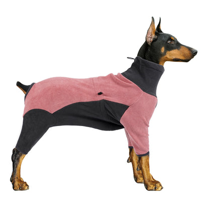 Dog wearing a pink and black fleece coat on a white background