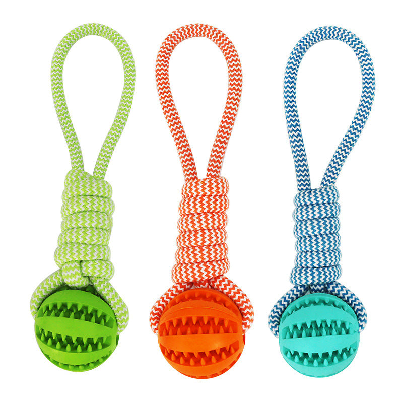 Three colorful dog toys with balls and zebra-patterned ropes on a white background