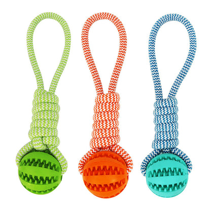 Three colorful dog toys with balls and zebra-patterned ropes on a white background