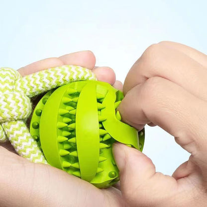 Green dog toy with a rope and textured surface held by hands against a light blue background