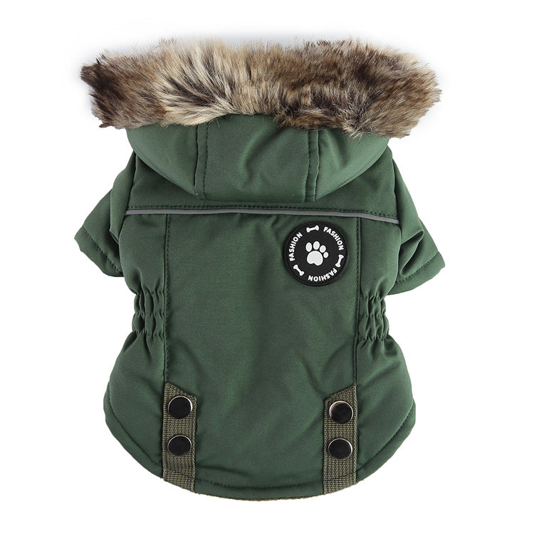 Green dog coat with fur hood on a white background