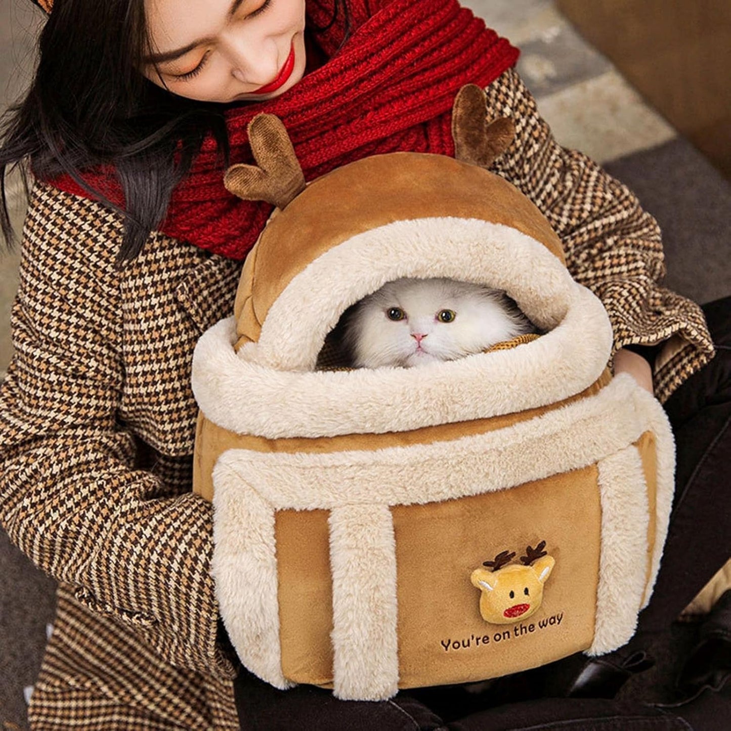 Person holding a cat in a brown pet carrier with reindeer design