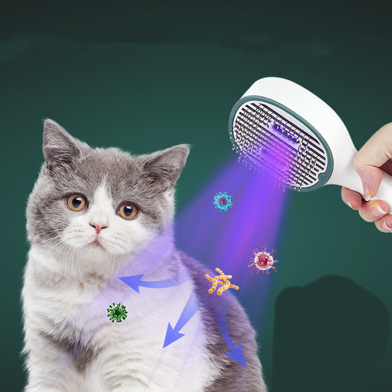 Cat being cleaned with a grooming tool emitting light, on a dark green background