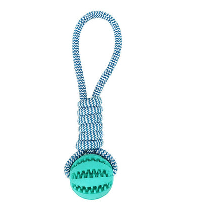 Teal dog toy with a rope on a white background