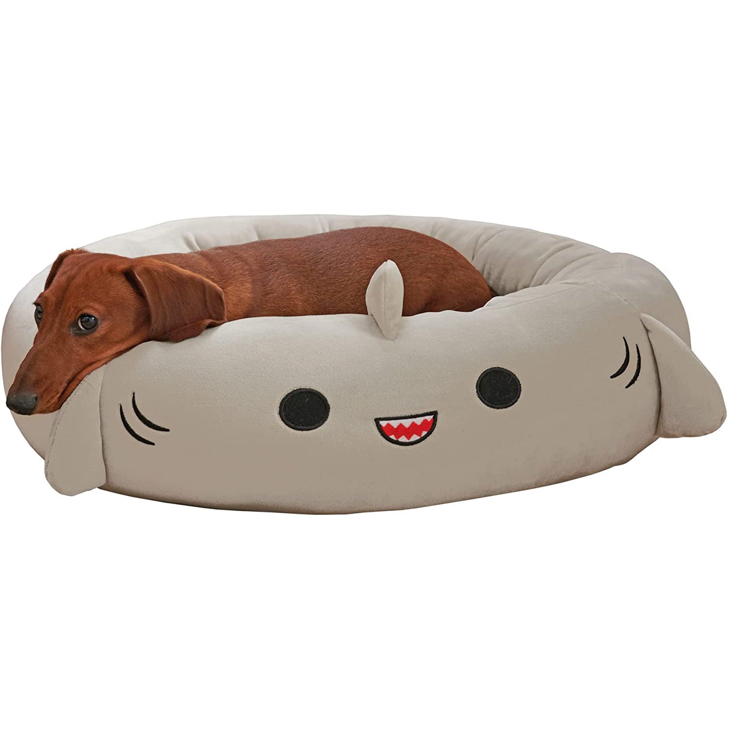 Dog bed shaped like a shark with a dachshund lying on it, on a white background