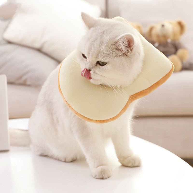 Cat wearing a beige e-collar on a light-colored surface with a blurred background