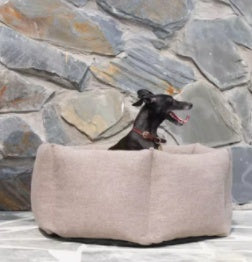 Dog sitting inside a beige pet bed against a stone wall.