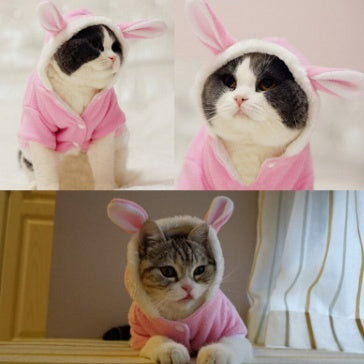 Collage of a cat wearing a pink bunny costume with a plain background