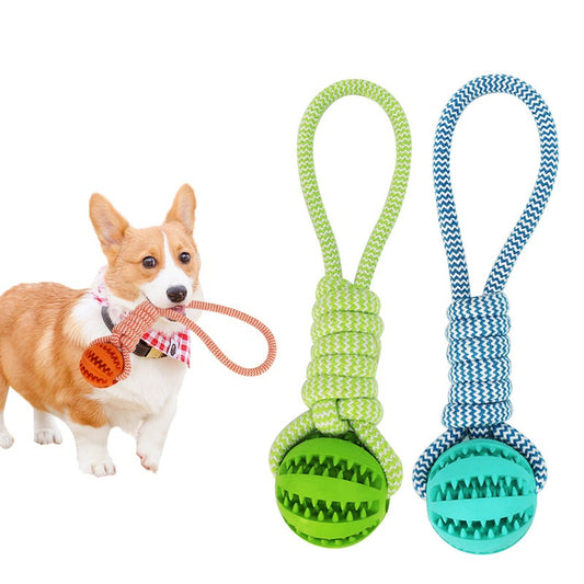 Dog with a red collar holding a green rope toy with a ball, next to two other rope toys on a white background.
