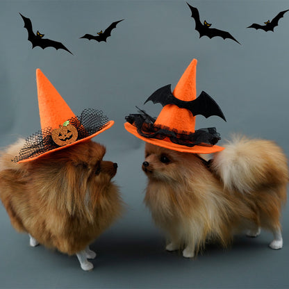 Two small dogs wearing Halloween-themed orange witch hats with black bats on a gray background.