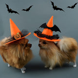 Two small dogs wearing Halloween-themed orange witch hats with black bats on a gray background.