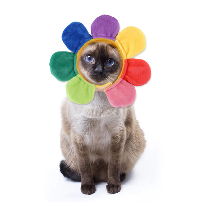Cat wearing a colorful flower-shaped hat on a white background