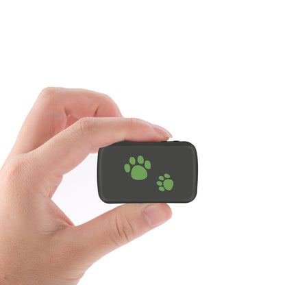Hand holding a small black device with green paw prints on a white background