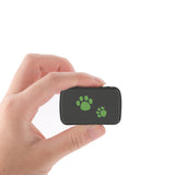 Hand holding a small black device with green paw prints on a white background