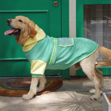 Dog wearing a green and yellow coat standing in front of a green door.