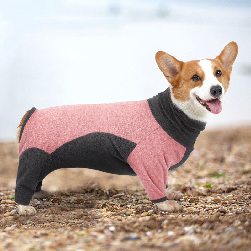 Dog wearing a pink and black sweater standing on a rocky surface.