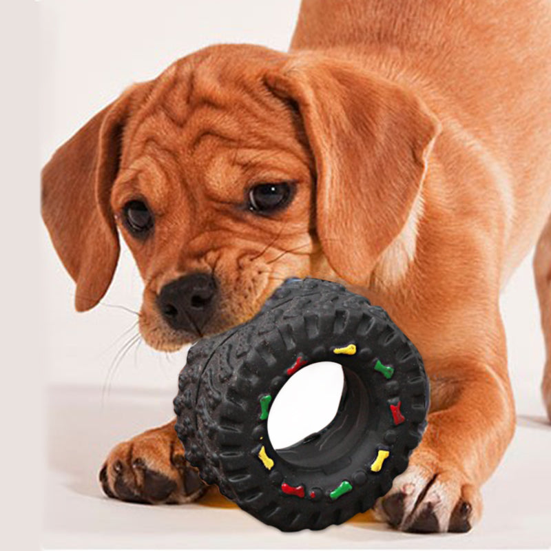Puppy playing with a black rubber toy on a white background