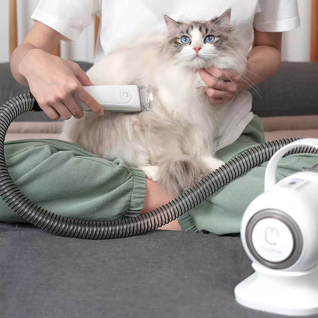 Smart Grooming and Hair Suction Tool