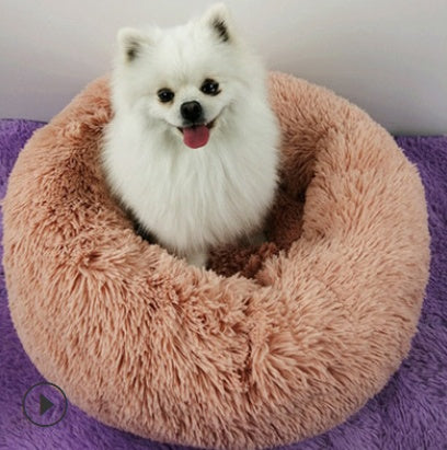 White dog sitting on a fluffy pink donut bed with a purple blanket underneath.