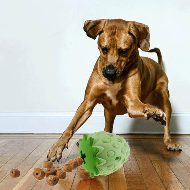 Dog playing with a green ball on a wooden floor
