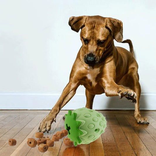 Dog playing with a green ball on a wooden floor
