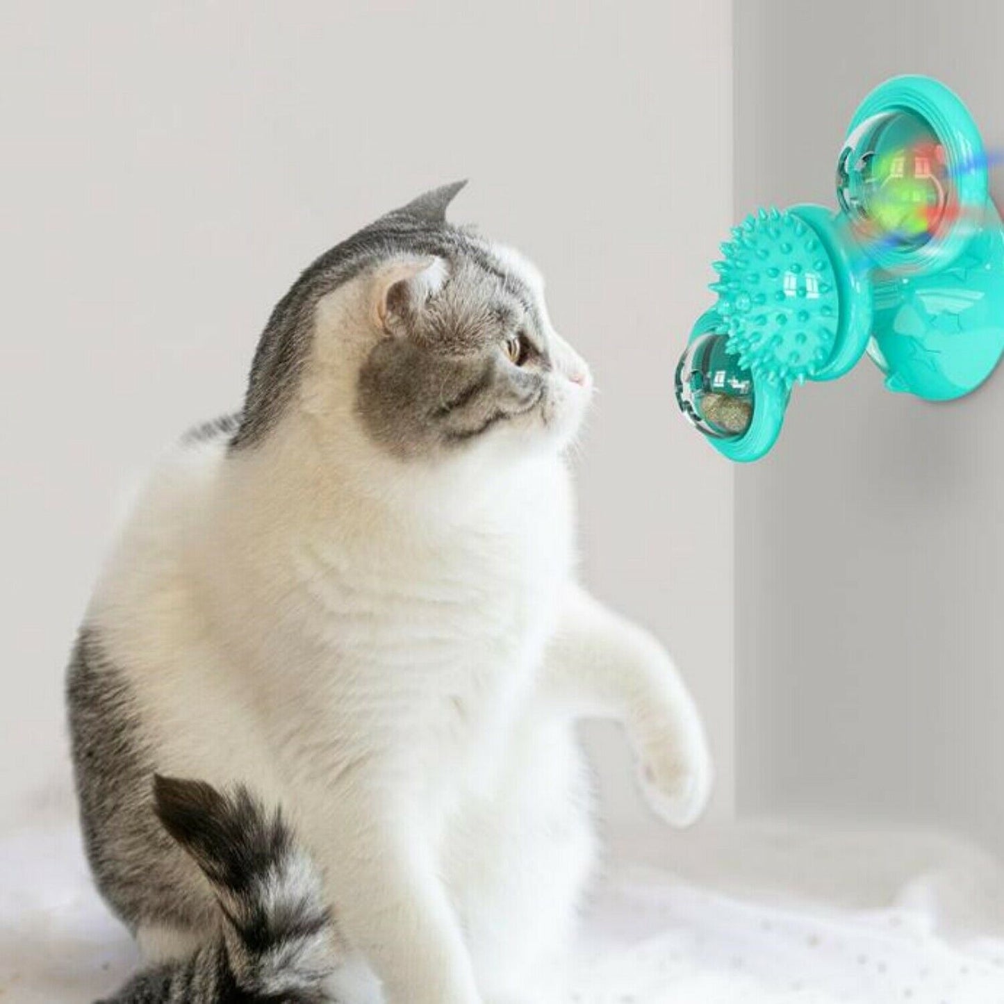Cat playing with a teal pet toy on a light background