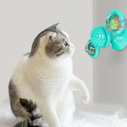Cat playing with a teal pet toy on a light background