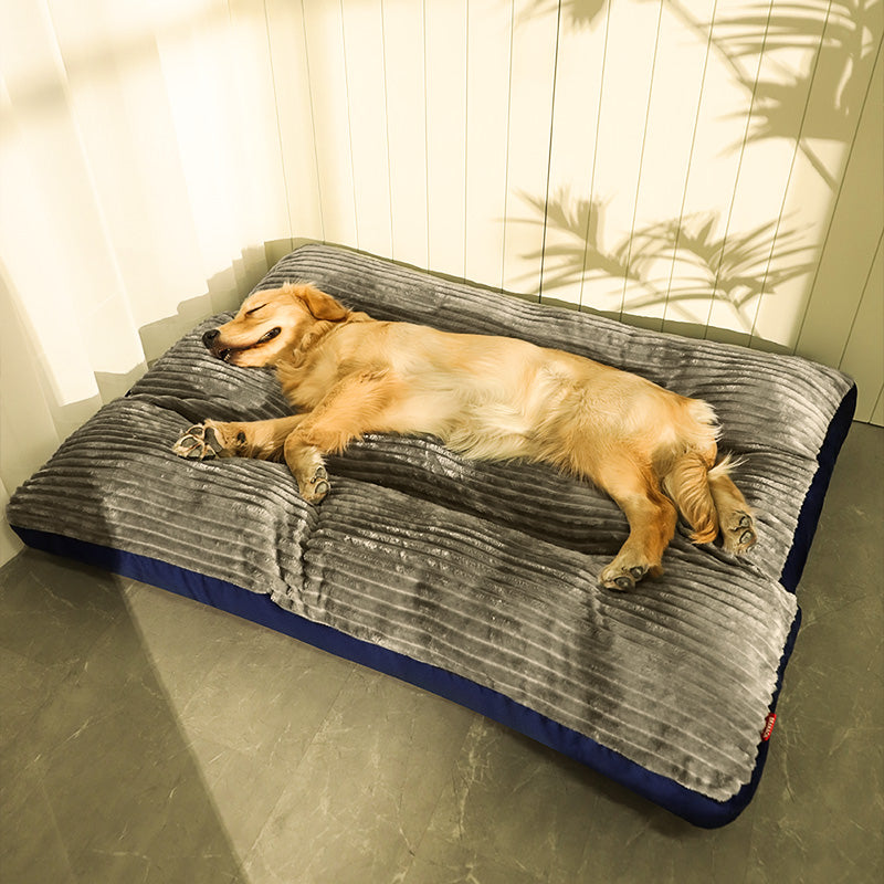 Dog lying on a gray and blue pet bed indoors.