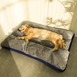 Dog lying on a gray and blue pet bed indoors.