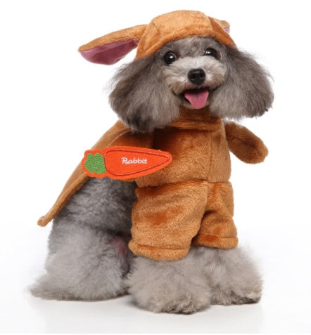 Dog wearing a brown rabbit costume on a white background