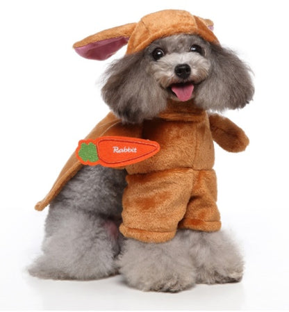 Dog wearing a brown rabbit costume on a white background