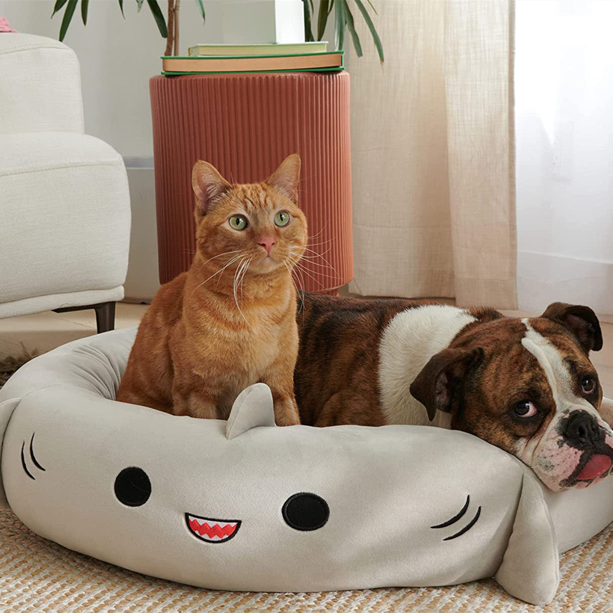 Cat and dog lying on a shark-shaped pet bed in a cozy living room.