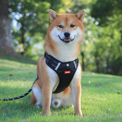 Dog wearing a black harness sitting on grass with trees in the background
