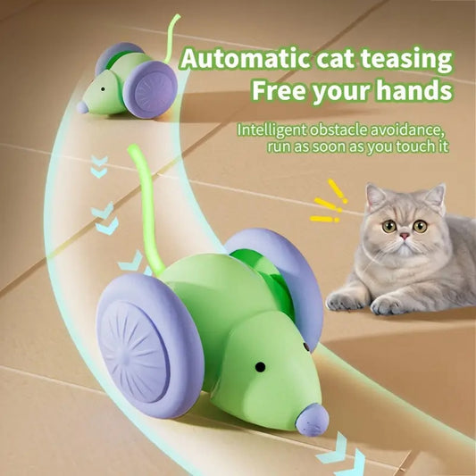 Green and purple cat toy with text on a brown background