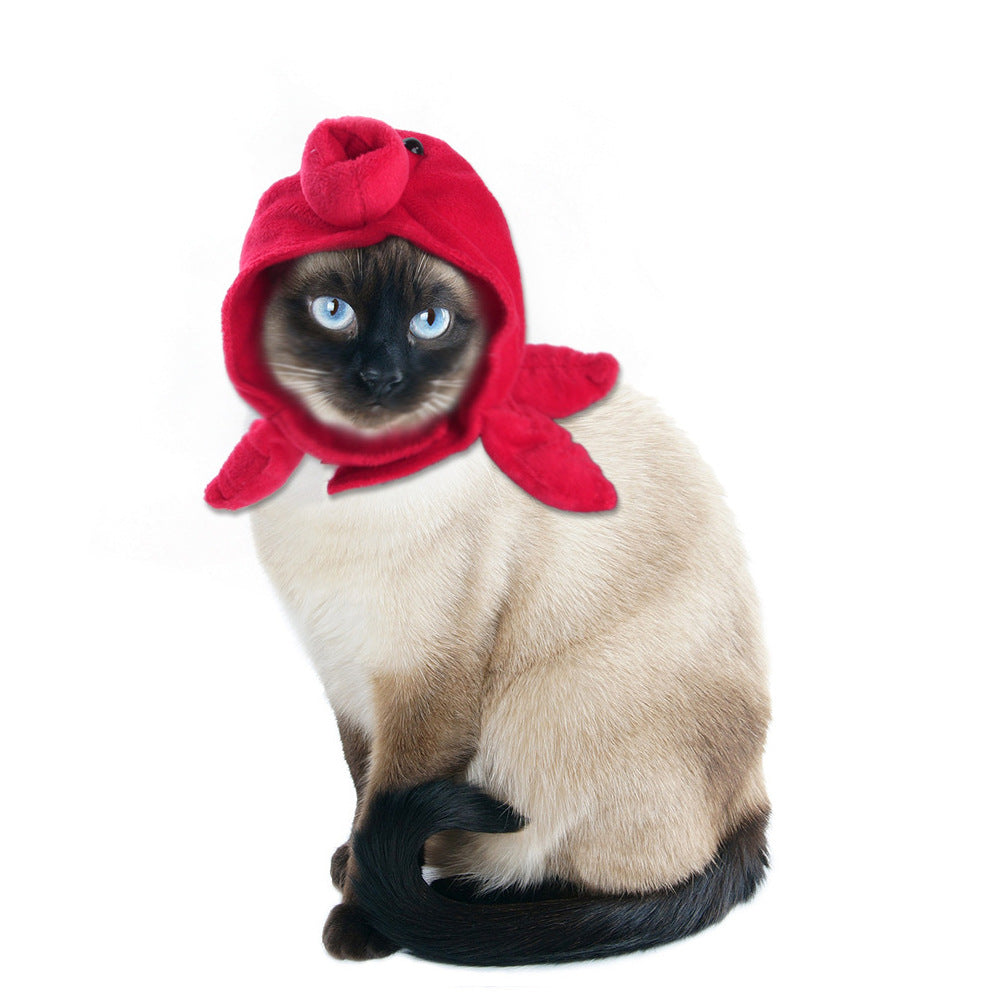 Cat wearing a red hood with lobster design on a white background