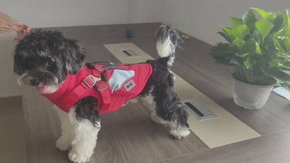 Tactical Zip-Up Dog Vest Jacket
