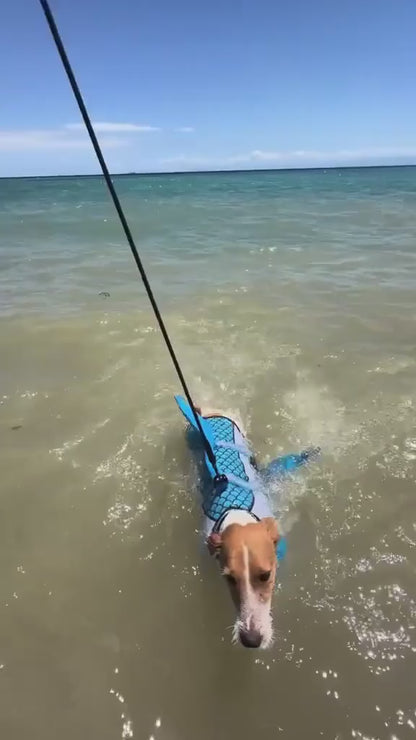 Shark Fin Dog Life Jacket