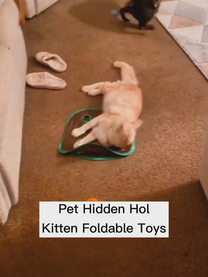 video of cat playing with foldable hidden hole toy