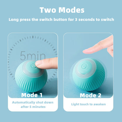Smart Cat Ball Toy